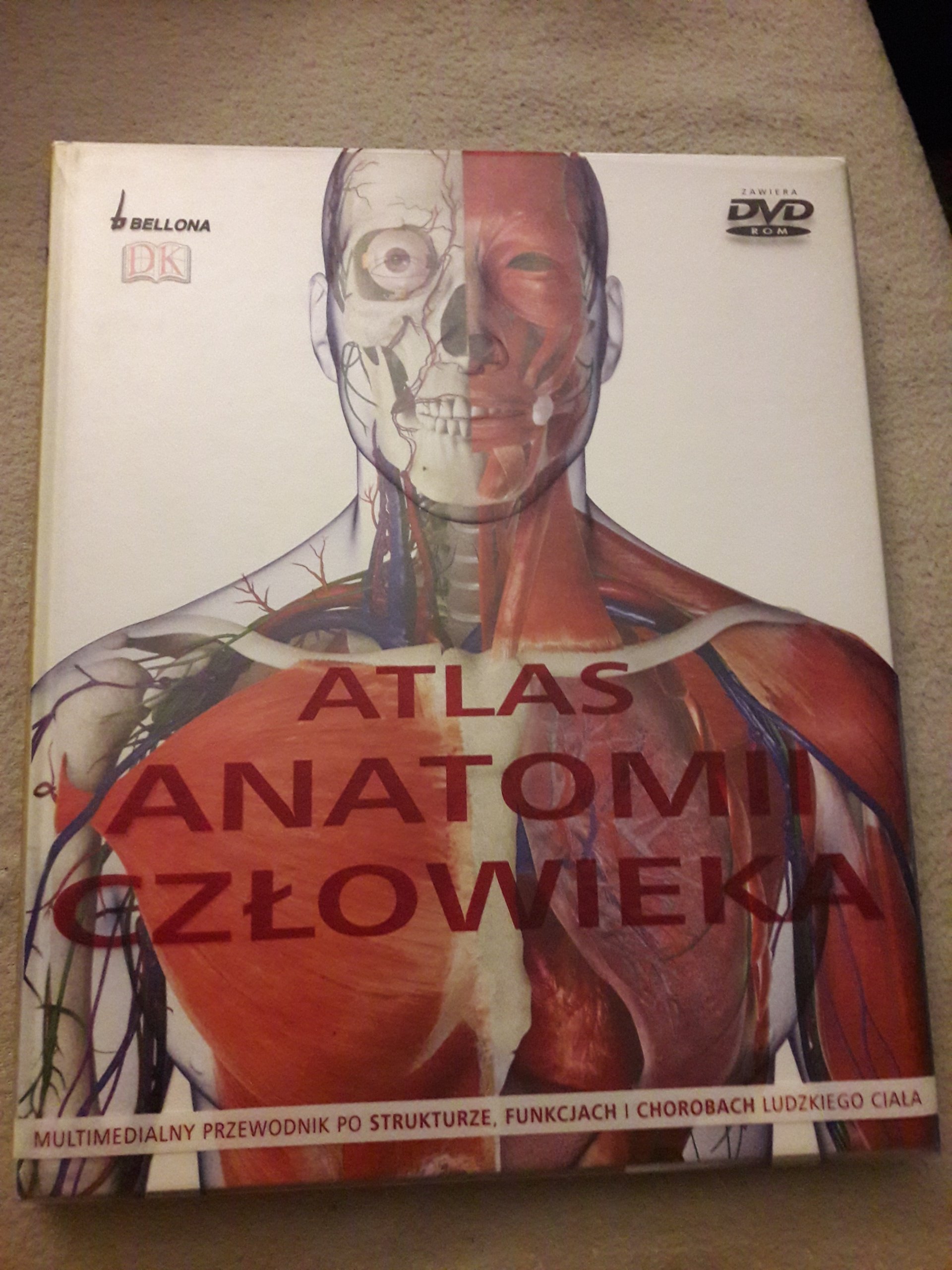 Atlas Anatomii Cz Owieka Steve Parker Oficjalne Archiwum