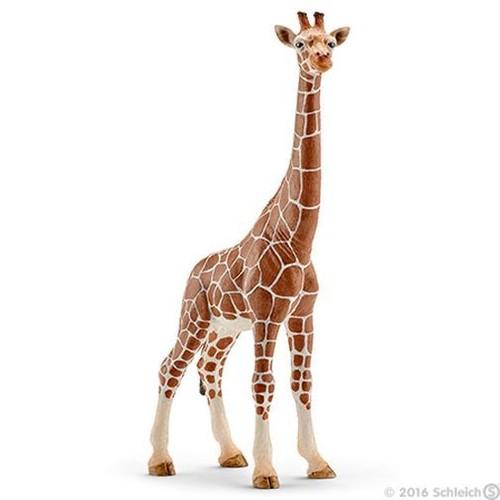 

Schleich, figurka Samica żyrafy, 14750