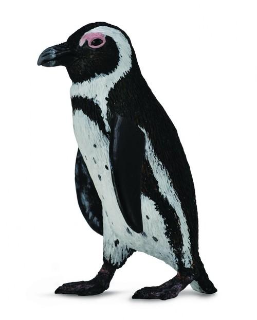 Collecta Pingwin przylądkowy-Zdjęcie-0