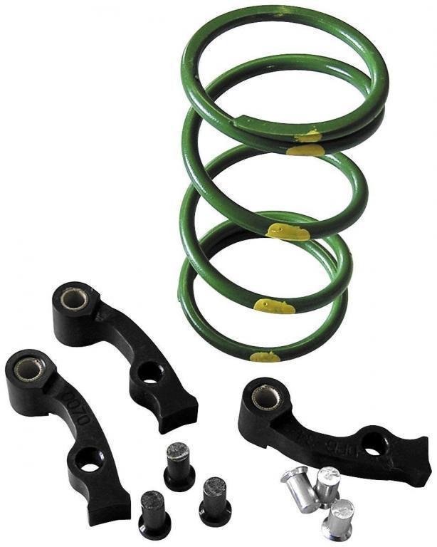 Dalton zestaw sprzegla Can Am Renegade 1000 12 15