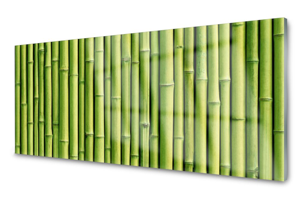 

Lacobel Panel Ścienny Foto Bambus Roślina 120x60