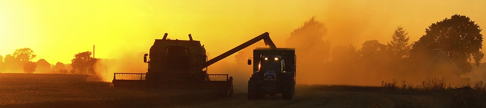 Elewatorclaas735367 - CLAAS УШНАЯ ЦЕПЬ ЭКВИВАЛЕНТ 735367 RAIBUD