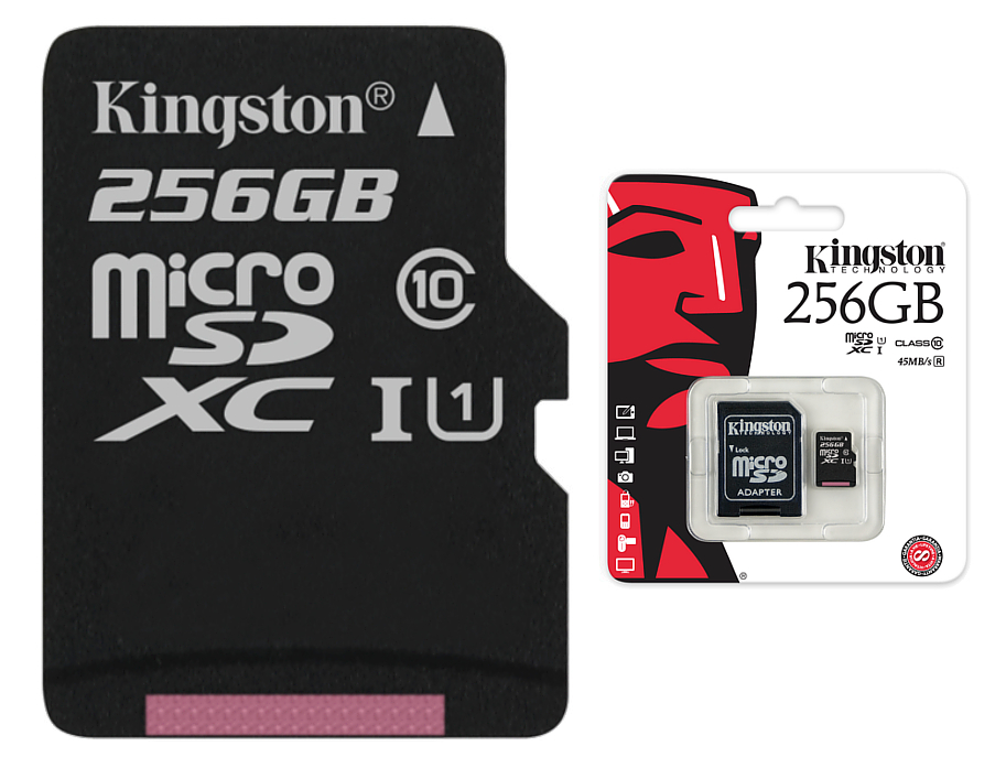 Карта памяти kingston canvas go plus 256 гб