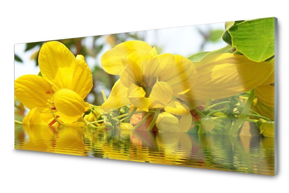 

Lacobel Panel Ścienny Foto Kwiaty Roślina 120x60
