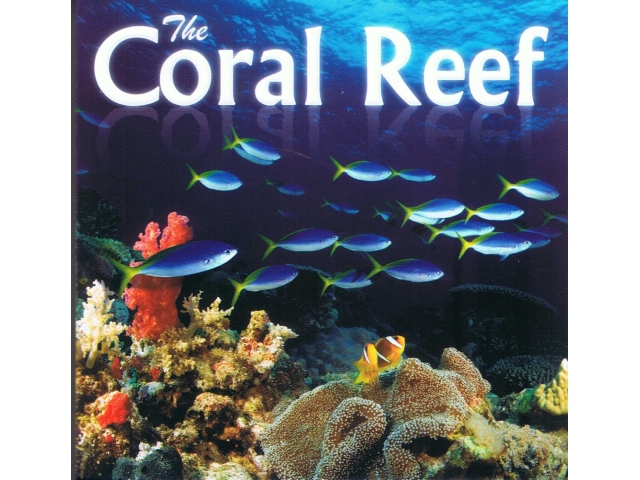 Fascination Coral Reef 3d: - Niska cena na Allegro