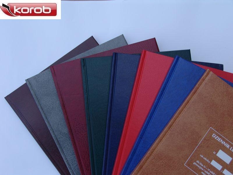 SZKOLNY DZIENNIK LEKCYJNY 4-8 ORYGINALNY Producent Typograf