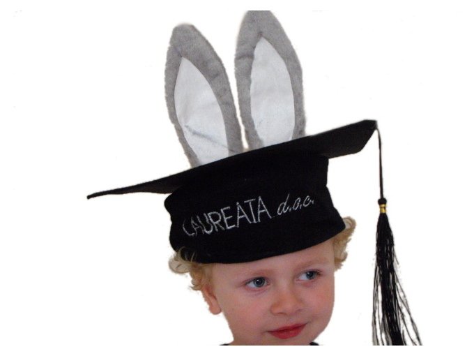 

czapka biret studenta ucznia królik królika gadżet