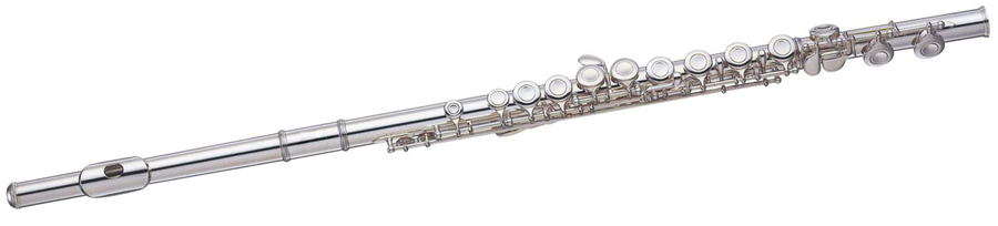 Příčná Flétna Carvelli CFL-115 Pouzdro