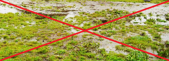 RURA DRENARSKA DREN fi 80 OPLOT ŻWIR I PIACH 50 mb Długość 50 m