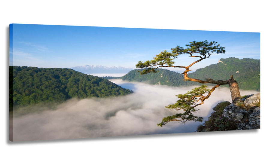 

Obraz Panorama Pieniny Sokolica 150x60 Na Płótnie