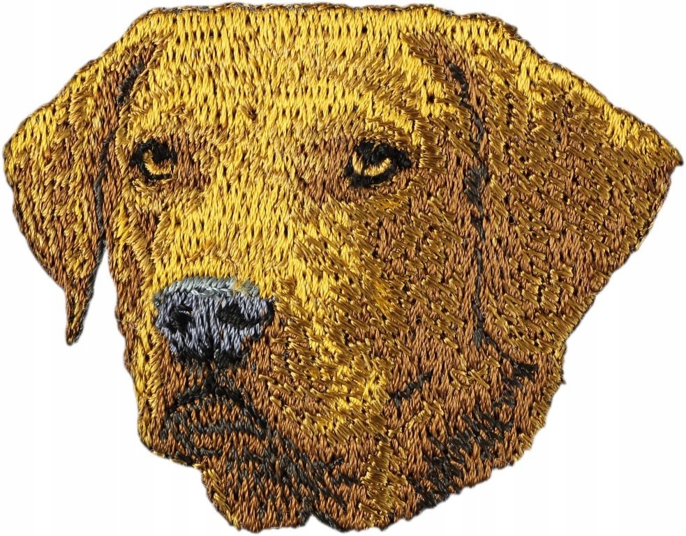 

Chesapeake Bay retriever Haft Naszywka Przyszywka