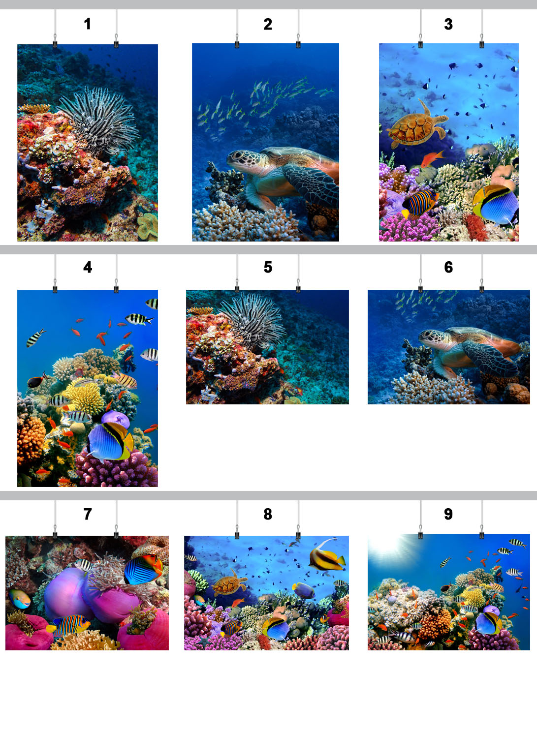 PLAKAT RAFA KORALOWA 90x60 CM 9 WZORÓW MATOWY Marka inna