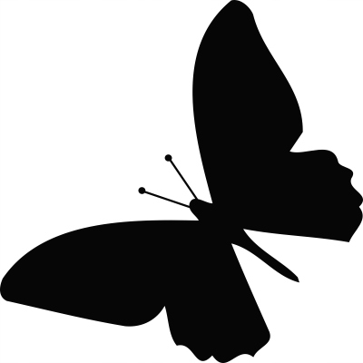 

Naklejka na ścianę z motylem Motyl 35 cm