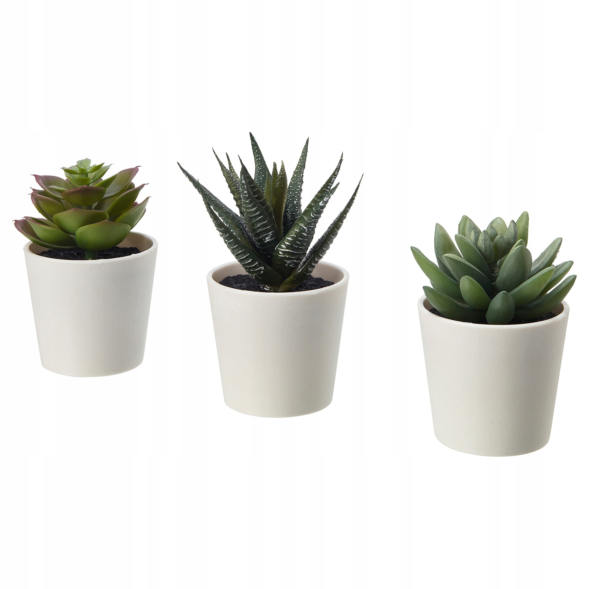 

Ikea Fejka Sztuczna roślina Roślina Sukulent 3szt