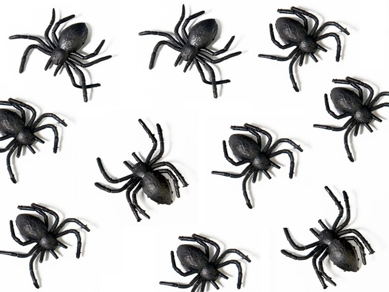 

Sztuczne Pająki czarne straszne 10szt na Halloween