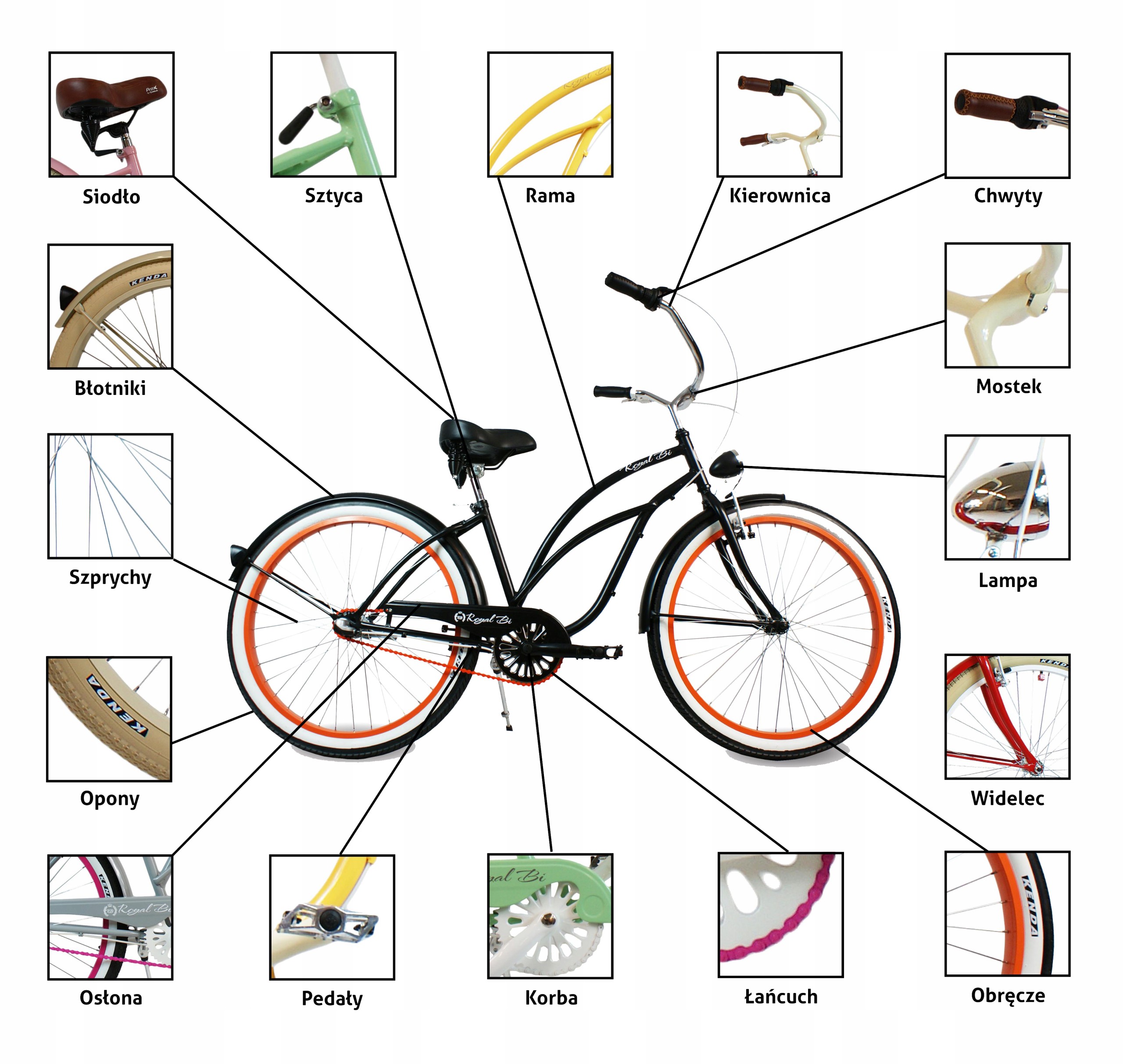 Rower beach Cruiser męski 26 cali niebieski biegi PACIFIC Springer ROYALBI Kolor niebieski