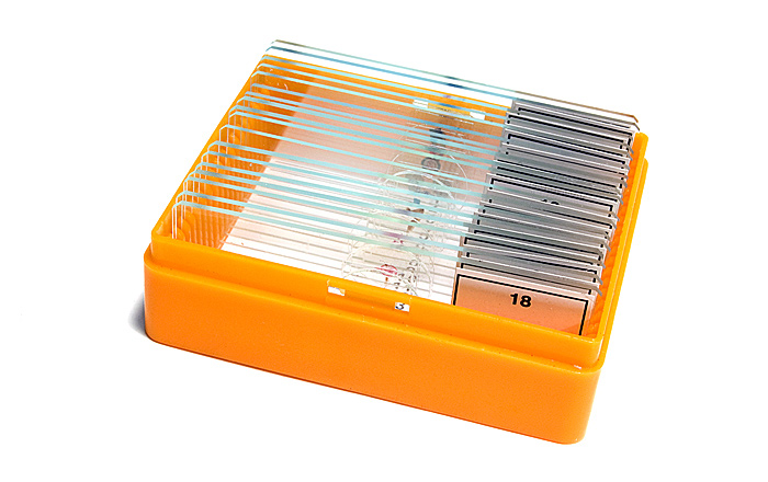 Zestaw gotowych preparatów Levenhuk N18 Ng