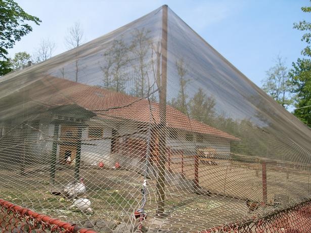 SIATKA NA WOLIERY 60x60mm SIATKA OCHRONNA PLECIONA DLA KUR NA JASTRZĘBIE Nazwa handlowa siatka na woliery 60x60mm