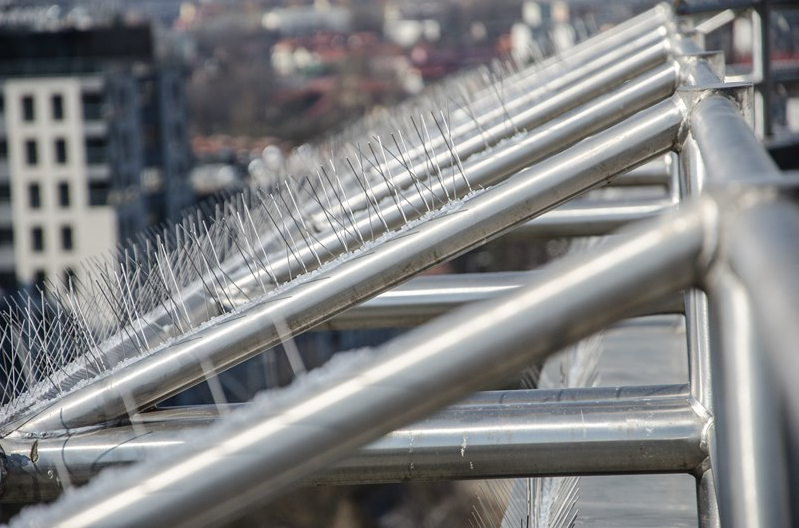 GĘSTE DRUTY NA GOŁĘBIE KOLCE PRZECIW PTAKOM R40 Zastosowanie przeciwko ptakom