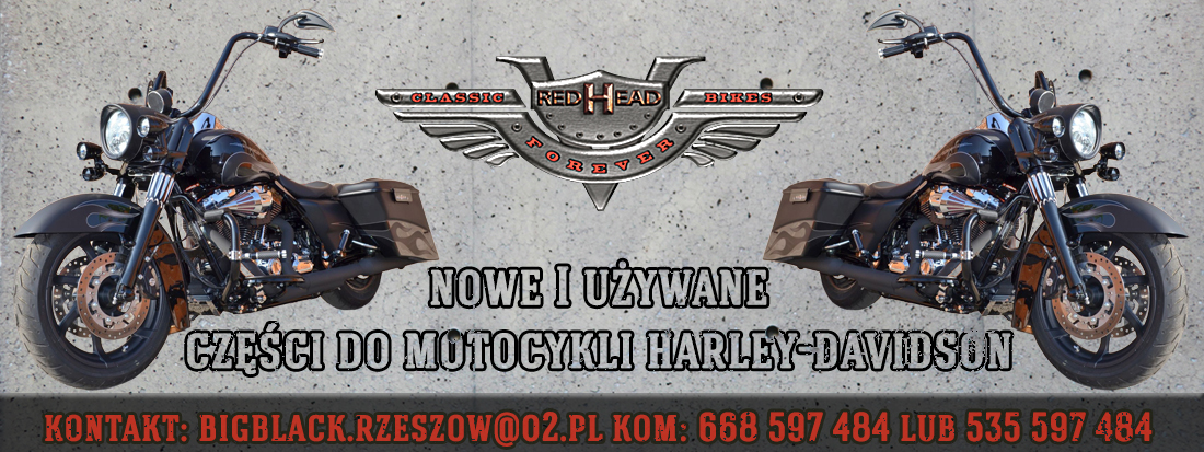 HARLEY DYNA SUPER GLIDE BAGNET KOREK OLEJU 99 05 Part manufacturer Other