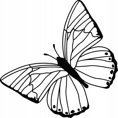 

Naklejka na ścianę z motylem Motyl 15 cm
