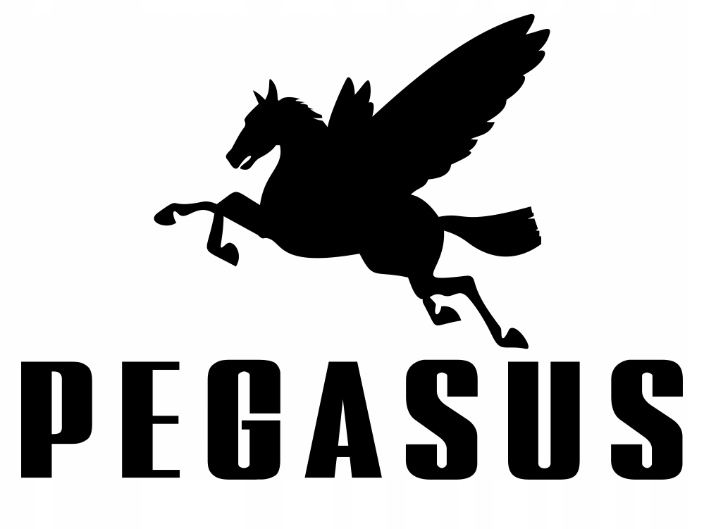 

Pegasus naklejki zastępcze na rower komplet 6 szt.