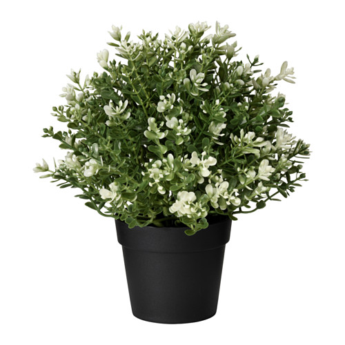

Ikea Fejka sztuczne Zioła w doniczce Tymianek 22CM
