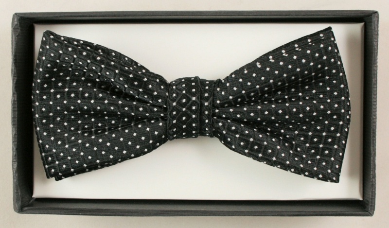 Modna mucha z poszetką - Alties Wzór dominujący groszki