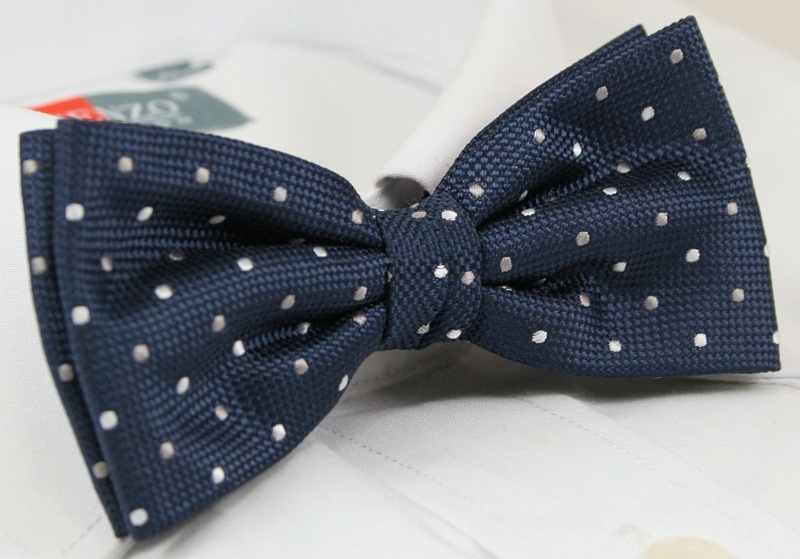 Modna mucha z poszetką - Alties Marka inna