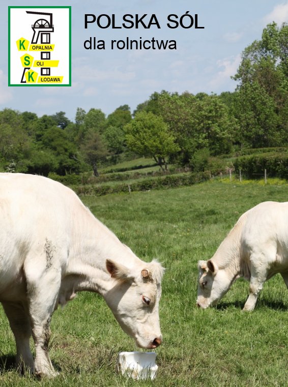 LIZAWKA SOLNA Multi Lisal Se - 1 SZT -10 KG Marka inna