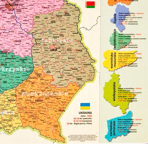 Podkładka na biurko - Mapa Administracyjna Polski EAN 5906727906524