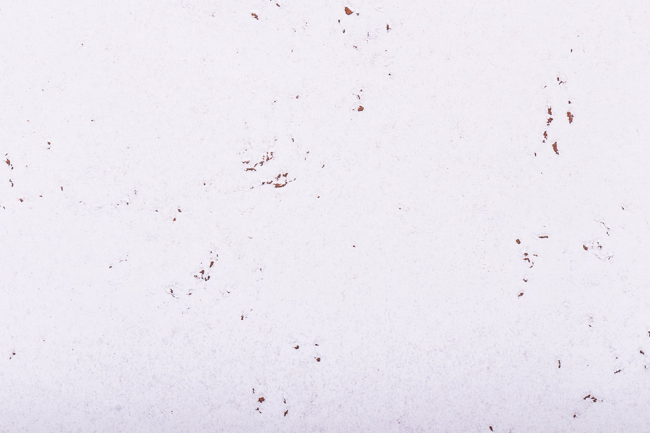 

Korek Ścienny korek na ścianę Floor White Snow