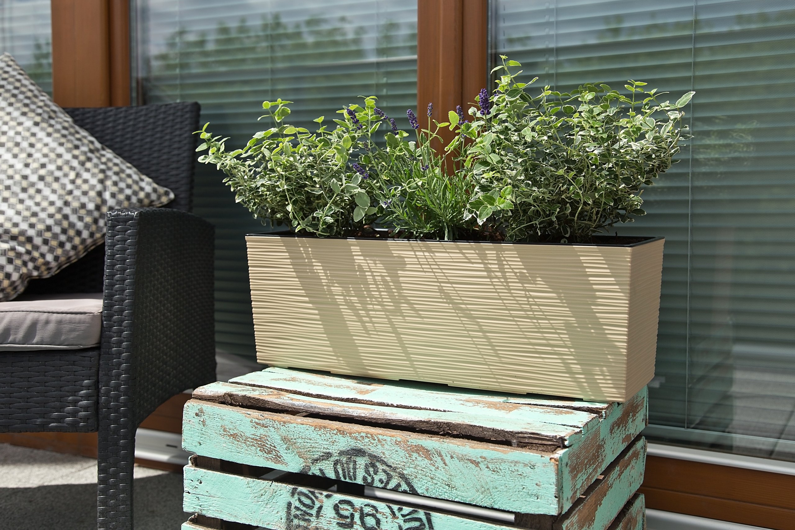 SKRZYNKA BEGONIA DŁUTO 19x56 h29,5 WKŁAD MOKKA Wysokość produktu 19.5 cm