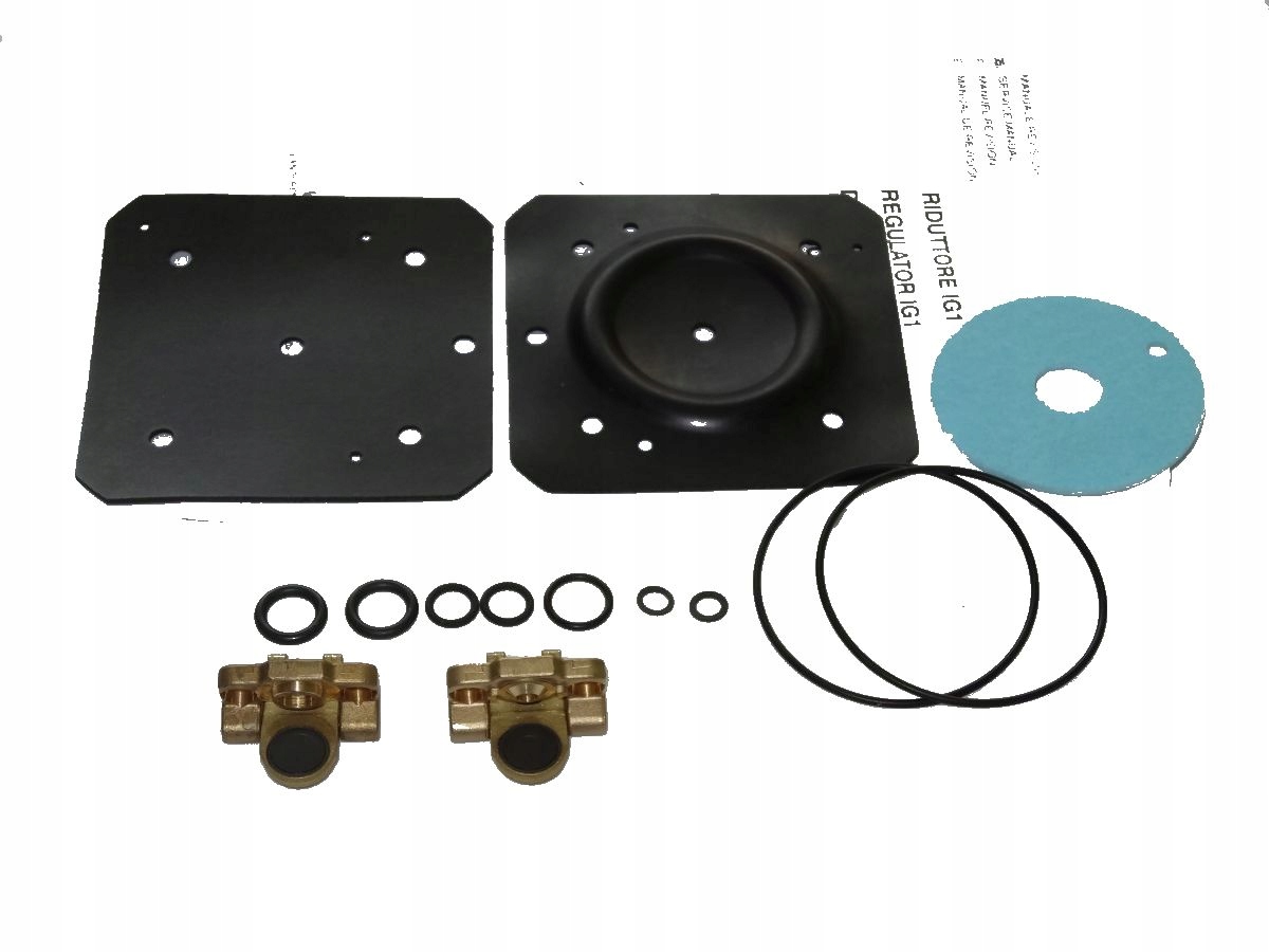 Komplet naprawczy reduktora LANDI RENZO IG1 pelny Engine Type Gasoline No information