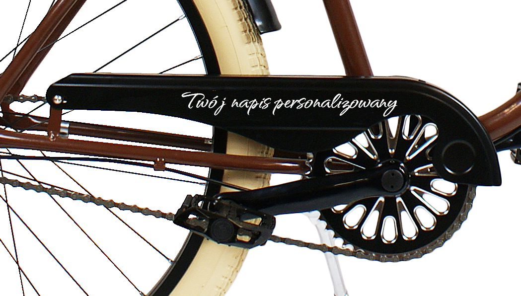 Rower beach Cruiser męski 26 cali niebieski biegi PACIFIC Springer ROYALBI Materiał ramy stal