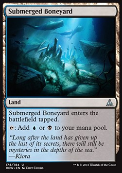

Submerged Boneyard Ogw M19*