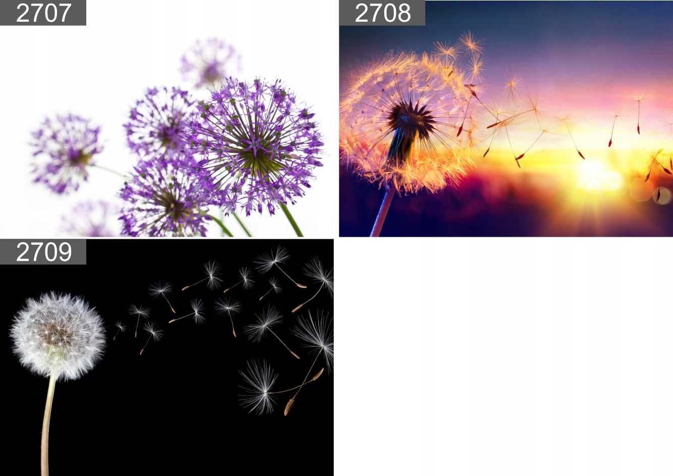 Plakat poster BALON BALONY LOT 40x30 max wybór Nazwa Plakat poster BALON BALONY LOT 40x30