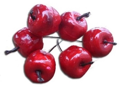 

Sztuczne Jabłka Z Drutem 3CM Pęczek 6 Szt 2