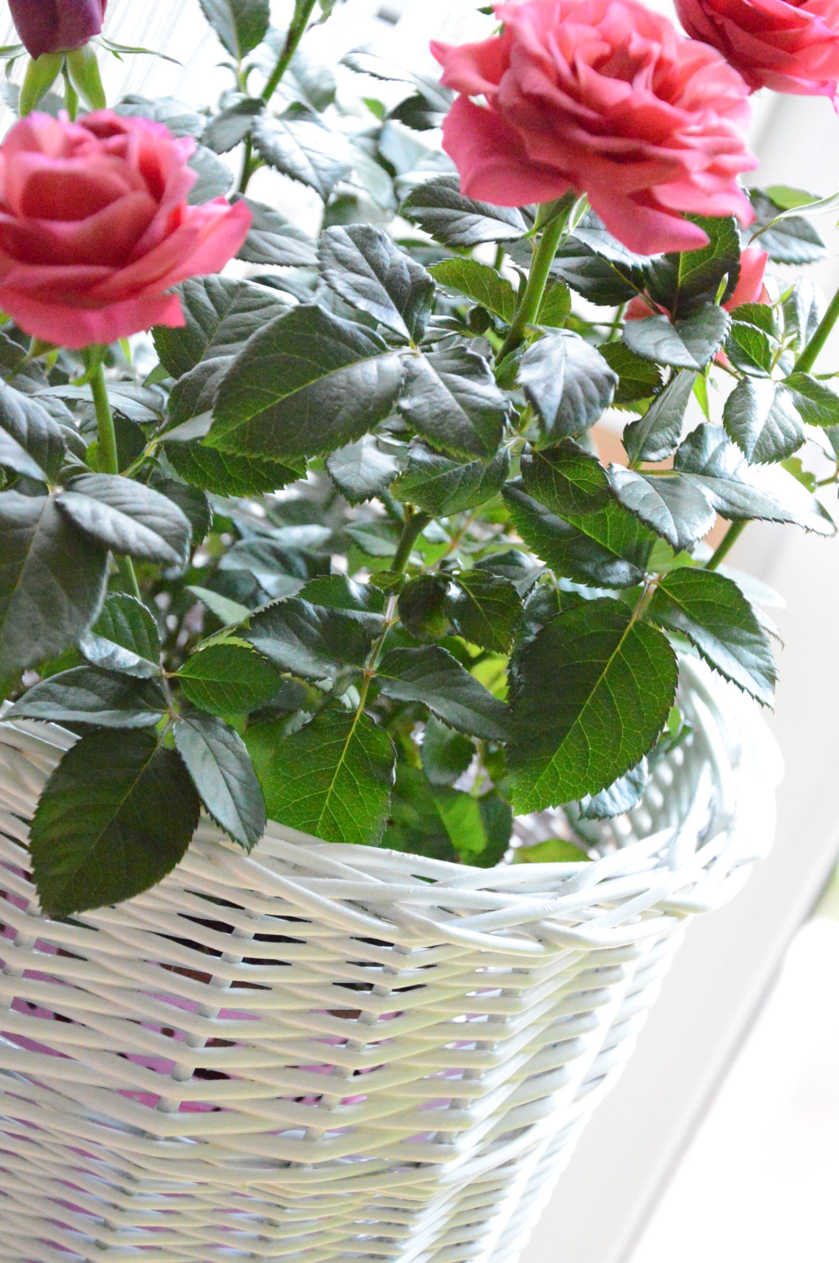 Doniczka wiklinowa Osłonka kwiaty WIKLINA FI 30 cm Marka Wik-World