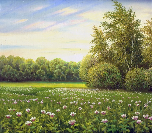 

Fototapeta 3D Las Kwiaty Jezooro Widok Malarstwo