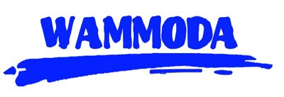 SONIC THE HEDGEHOG SZYBKI JAK BŁYSKAWICA KOC POLAROWY NARZUTA 100x140CM Marka Aymax