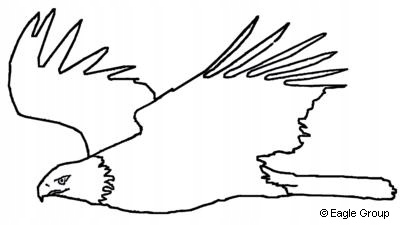 POLSKI Sztywny Pokrowiec Torba na PARAWAN DJ Rodzaj torba