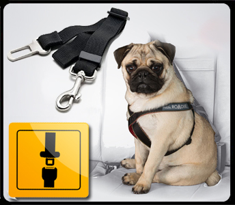 SMYCZ czarna DO PRZYPIĘCIA DO PASÓW BEZPIECZEŃSTWA DLA PSA samochodu PASY Marka LGJ Group