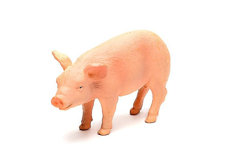 

Animal Planet prosię świnka 387055 figurka
