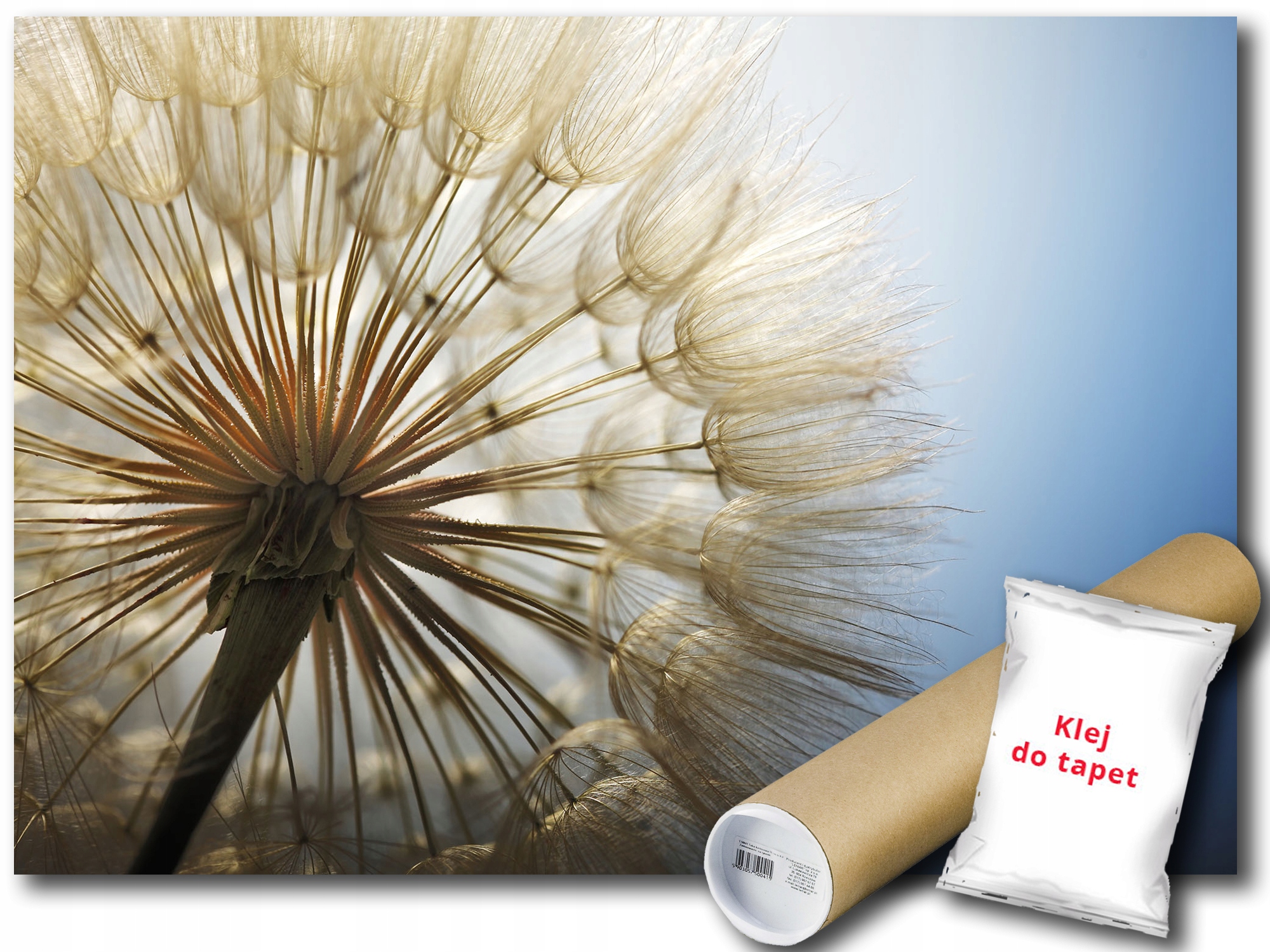 Fototapeta Púpava 9A V8 368x254 F11792