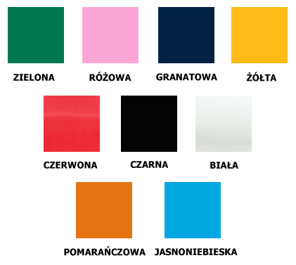 10x T-shirt Nadruk adres WWW nadruk 1 kolor S Rodzaj aplikacji z nadrukiem