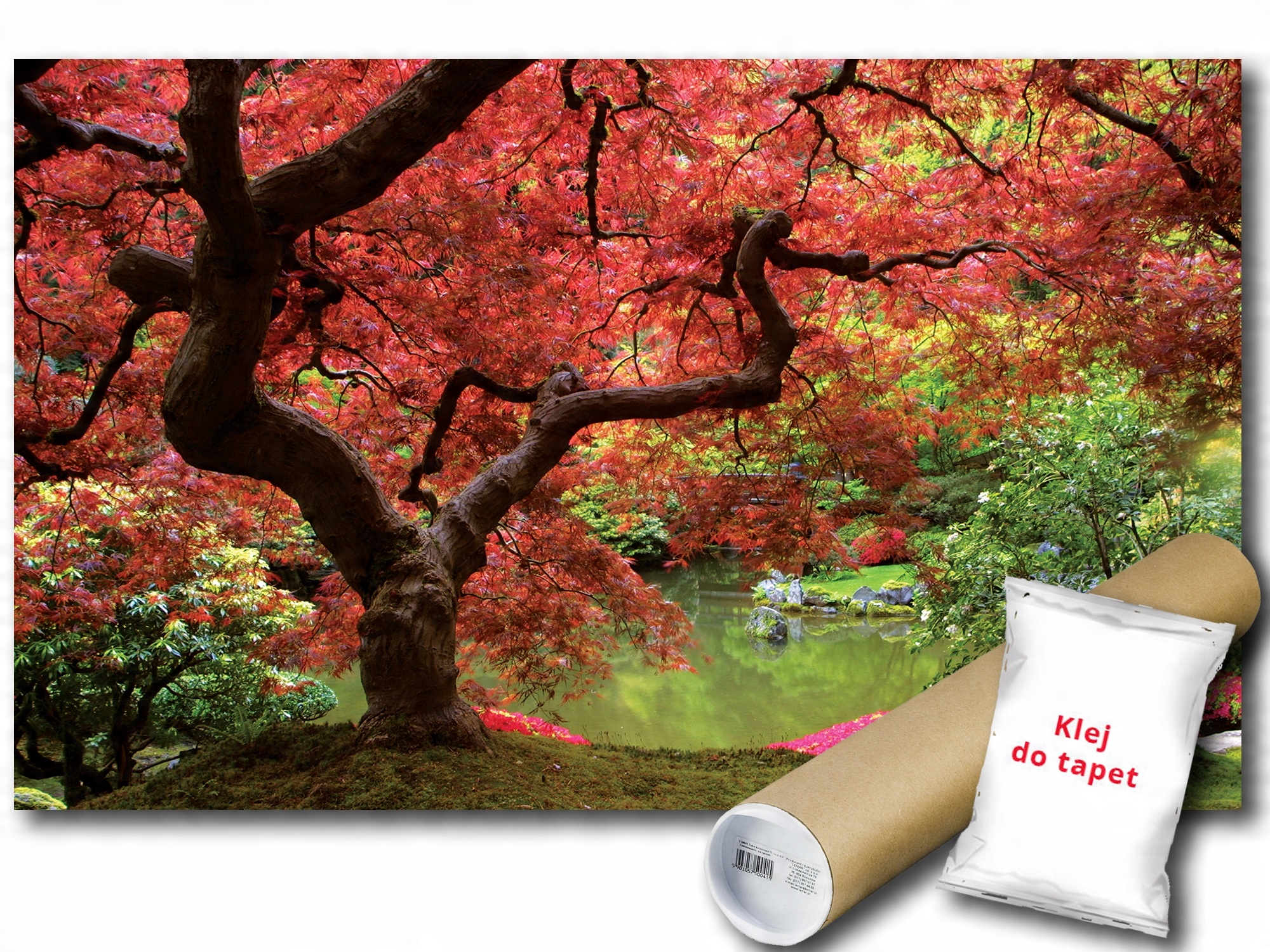 

Fototapeta Ogród Park Las 8A Fxl 208x146 F270