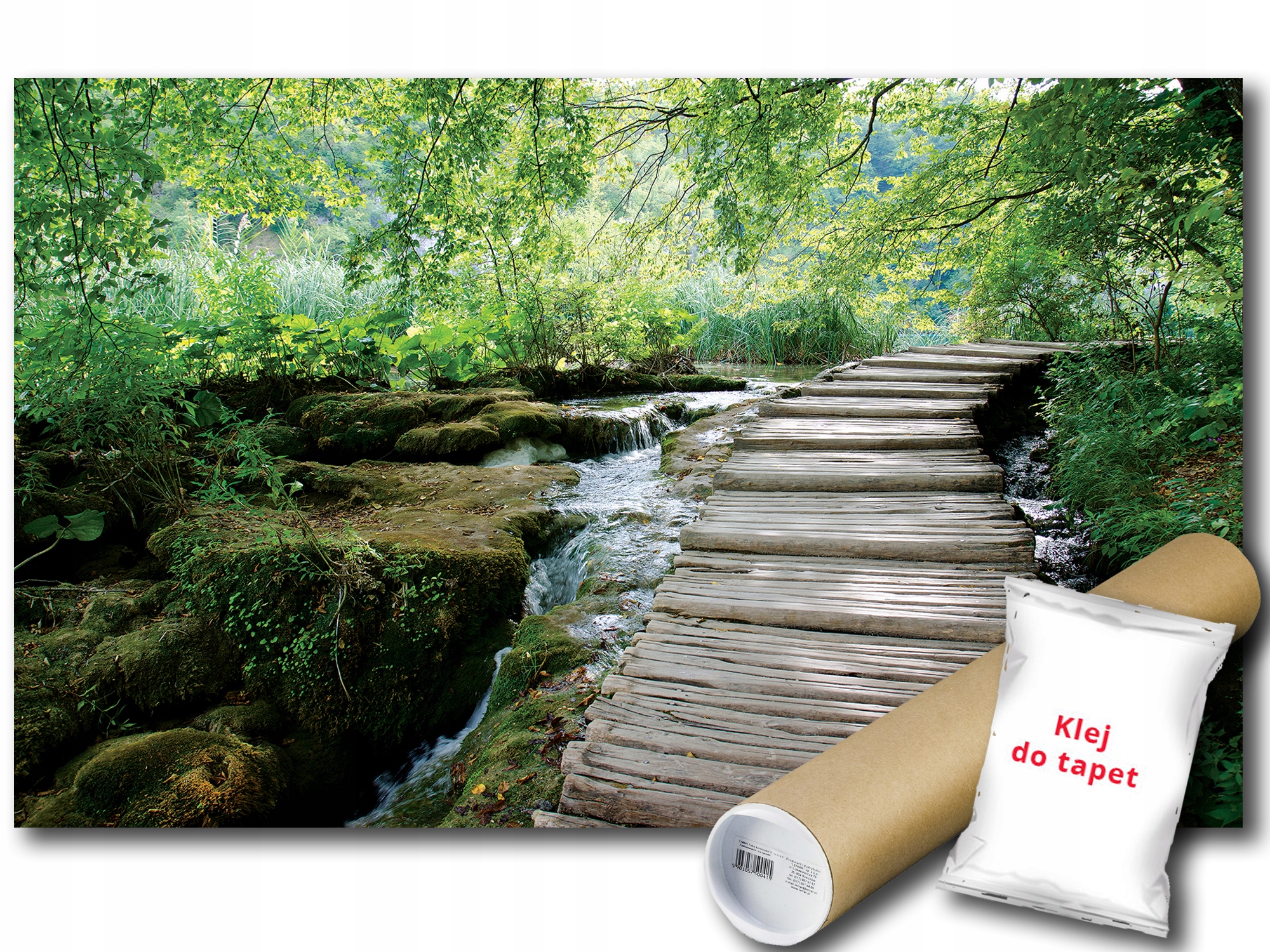 Fototapeta Lesný Potok 3B F3XL 416x254 F1995