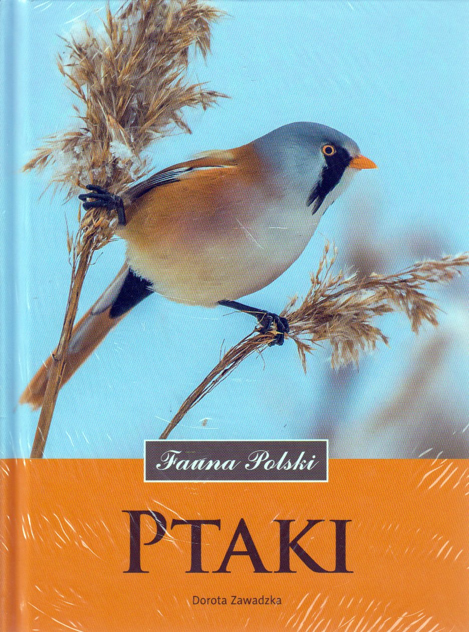 

Ptaki Fauna Polski Dorota Zawadzka