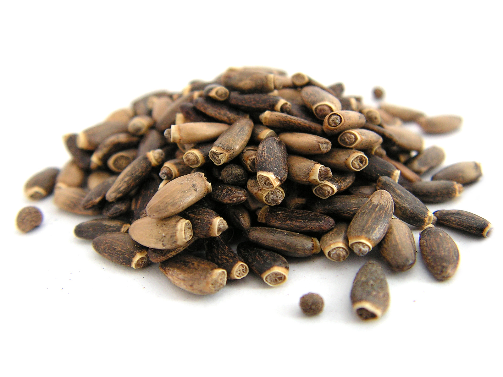 

Ostropest Plamisty ziarno 1 kg Aromatika